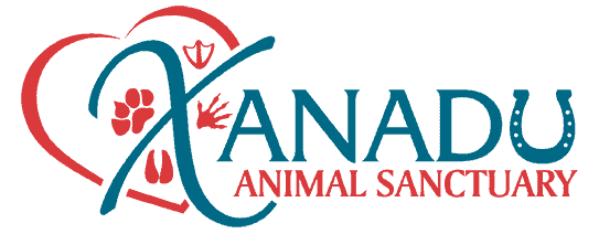 Xanadu Animal Sanctuary